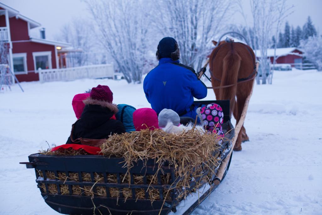 Petaejaekylae Villa Kuusamo Cameră foto