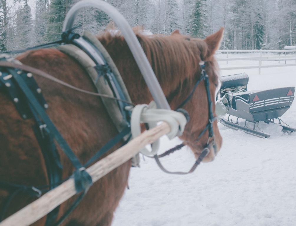 Petaejaekylae Villa Kuusamo Cameră foto