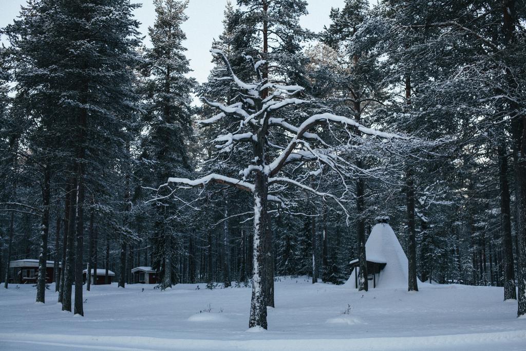 Petaejaekylae Villa Kuusamo Cameră foto